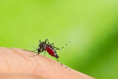 Atibaia combate aumento de dengue com nova estratégia de vacinação