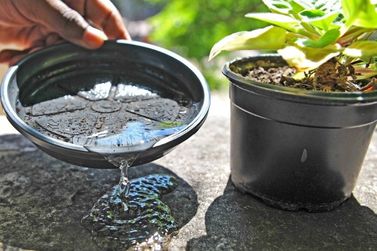 Atibaia refor&ccedil;a alerta contra a dengue com foco nos cuidados dentro de casa