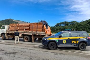PRF de Atibaia apreende carga irregular de madeira nativa na Fern&atilde;o Dias