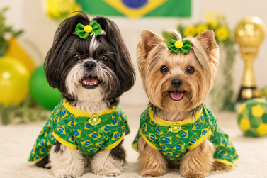 Pet shop em Atibaia prepara pets para curtirem o jogo do Brasil com a fam&iacute;lia