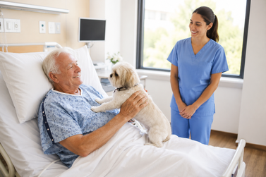 Pets poder&atilde;o visitar pacientes internados em hospitais de Atibaia