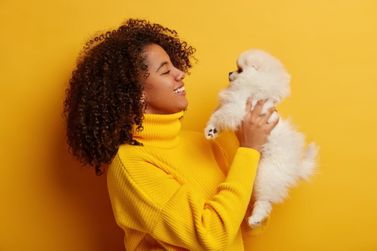 Quer um novo melhor amigo? Feirinha de ado&ccedil;&atilde;o acontece no dia 15 em Atibaia