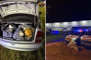 Motorista foge da pol&iacute;cia, mas acaba preso com 28 kg de maconha em Atibaia