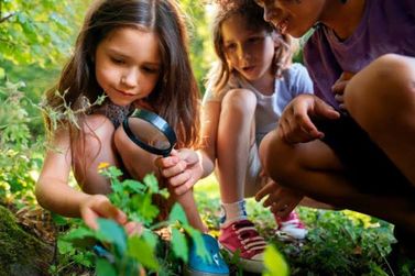 Atibaia leva 1,8 mil alunos para atividades ambientais em meio &agrave; natureza