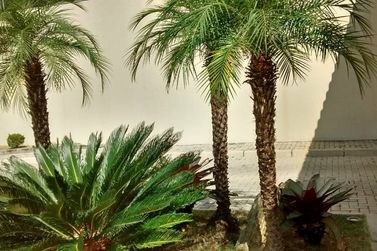 Apartamento &agrave; venda - 180m&sup2; - LOTEAMENTO LOANDA
