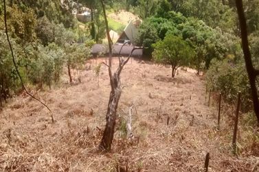 Terreno &agrave; venda - 1237m&sup2; - Bosque dos Eucal&iacute;ptos