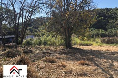 Terreno &agrave; venda - 4801m&sup2; - Ribeir&atilde;o dos Porcos