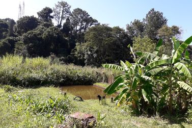 Sobrado &agrave; venda - JARDIM MARACAN&Atilde;