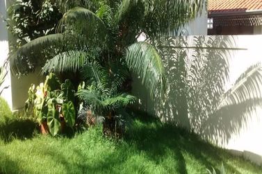 Casa &agrave; venda - 1000m&sup2; - Jardim das Flores