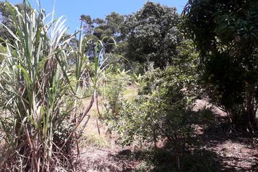 Ch&aacute;cara &agrave; venda - 6000m&sup2; - atibaia