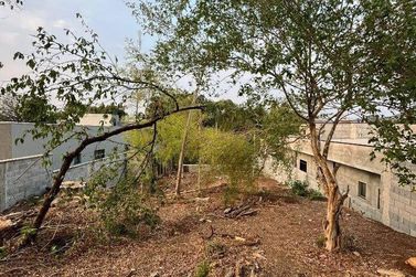Terreno &agrave; venda - 480m&sup2; - Jardim dos Pinheiros
