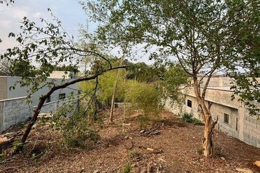 Terreno &agrave; venda - 480m&sup2; - Jardim dos Pinheiros