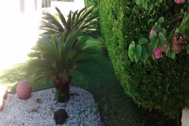 Casa &agrave; venda - 1000m&sup2; - Jardim das Flores