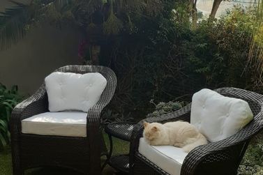 Casa &agrave; venda - 330m&sup2; - Vila petr&oacute;polis