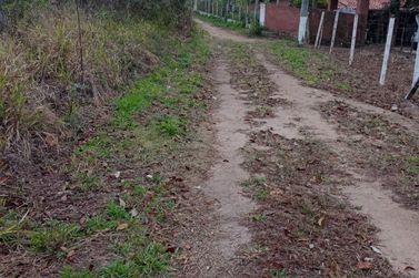 Terreno &agrave; venda - 20000m&sup2; - cachoeirinha