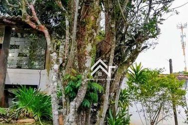 Ch&aacute;cara para alugar - 1000m&sup2; - Maria Antonina