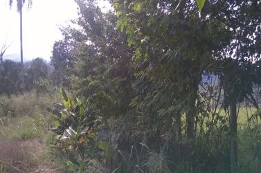 Terreno &agrave; venda - 36054m&sup2; - JARDIM HELENA