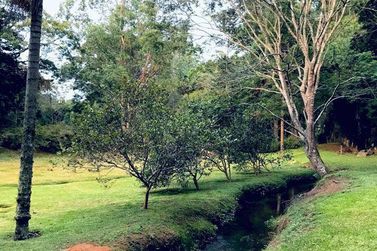 S&iacute;tio &agrave; venda - 47000m&sup2; - Itapetinga