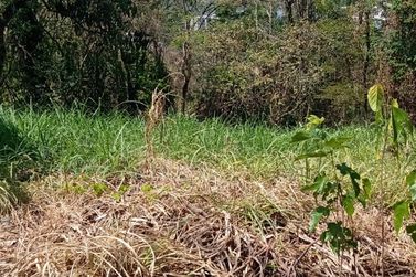 Terreno &agrave; venda - 3800m&sup2; - CENTRO
