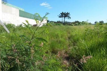 Terreno &agrave; venda - 900m&sup2; - Ressaca