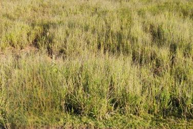 Terreno &agrave; venda - 226m&sup2; - Uberaba