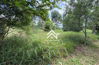 Terreno &agrave; venda - 1000m&sup2; - Ponte Alta