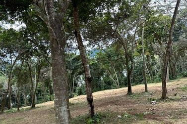 Terreno &agrave; venda - 5000m&sup2; - Paiol Grande