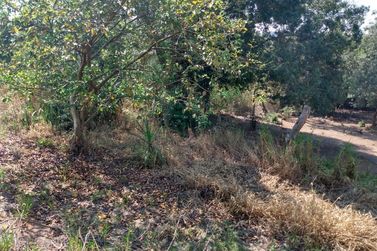 Terreno &agrave; venda - 1910m&sup2; - bairro jardim paraiso