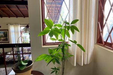 Casa &agrave; venda - 266m&sup2; - Recreio Maristela