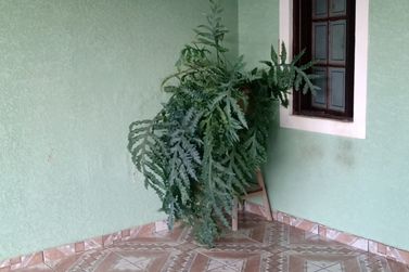 Sobrado &agrave; venda - JARDIM SANTO ANTONIO