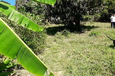 Sobrado &agrave; venda - JARDIM MARACAN&Atilde;