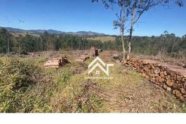 Terreno &agrave; venda - 61503m&sup2; - Paiol Grande