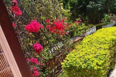 Ch&aacute;cara &agrave; venda - 1416m&sup2; - Terra Preta