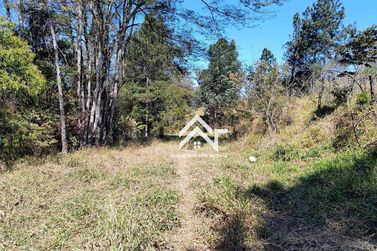 Terreno &agrave; venda - 40000m&sup2; - Canedos