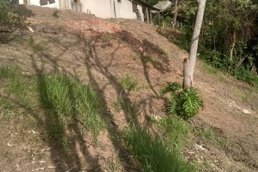 Ch&aacute;cara &agrave; venda - IARA