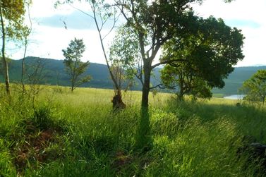 Terreno &agrave; venda - 1000m&sup2; - Ch&aacute;caras Fern&atilde;o Dias