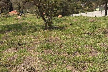 Terreno &agrave; venda - 1018m&sup2; - Vit&oacute;ria R&eacute;gia