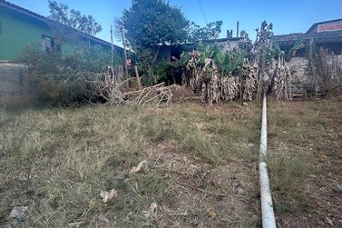 Terreno &agrave; venda - 250m&sup2; - Ros&aacute;rio