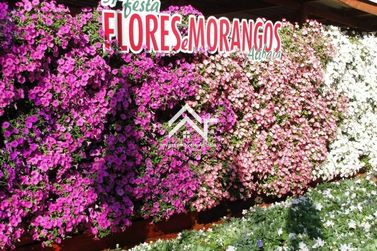 Casa para alugar - 63m&sup2; - Loteamento Vale das Flores