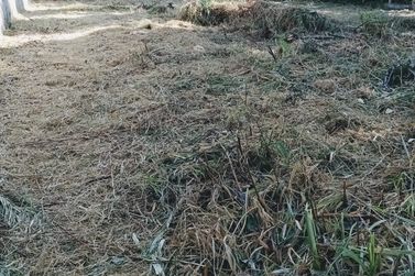 Terreno &agrave; venda - 769m&sup2; - LOTEAMENTO VALE DAS FLORES