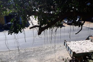 Terreno &agrave; venda - 231m&sup2; - BAIRRO DA PONTE