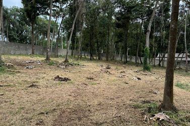 Terreno &agrave; venda - 6000m&sup2; - Paiol Grande