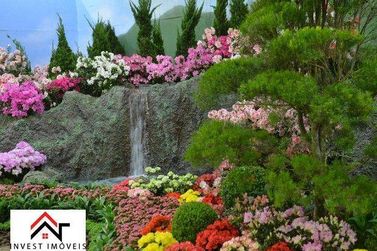 Terreno &agrave; venda - 212m&sup2; - Nova Cerejeiras