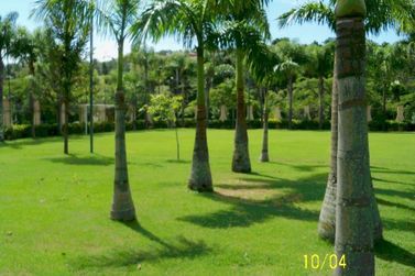 Terreno &agrave; venda - 1711m&sup2; - Condominio Flamboyant