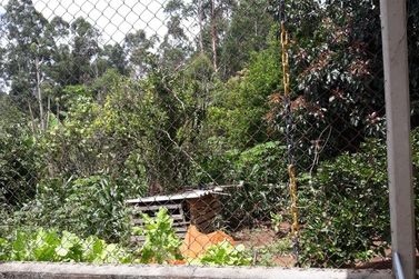 Ch&aacute;cara &agrave; venda - 120m&sup2; - Ros&aacute;rio