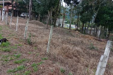 Terreno &agrave; venda - 20000m&sup2; - cachoeirinha