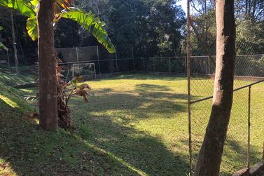 S&iacute;tio &agrave; venda - TERRA PRETA