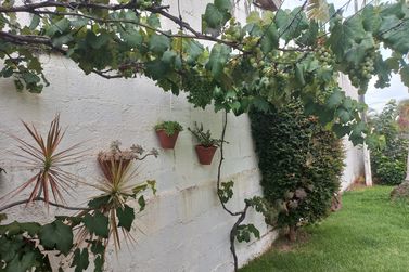 Casa &agrave; venda - JARDIM ALVIN&Oacute;POLIS