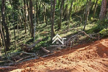 Terreno &agrave; venda - 5100m&sup2; - Recanto dos Palmares