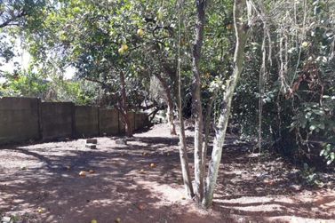 Terreno &agrave; venda - 231m&sup2; - BAIRRO DA PONTE